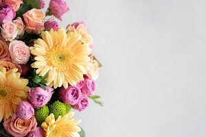 עובדות מעניינות ומשעשעות על פרחים